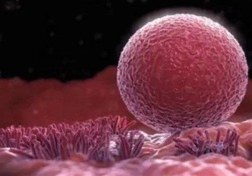 寧波助孕生子：盤點弱精癥的具體表現，附引發弱精癥的原因及治療措施